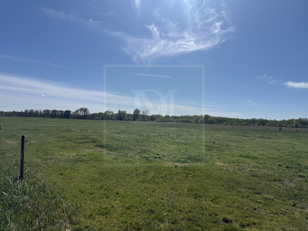 Działka Sprzedaż Wieńkowo 5
