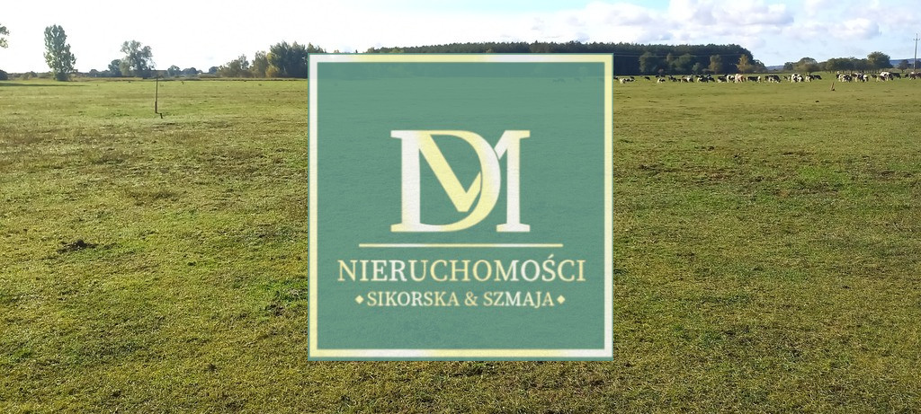 Działka Sprzedaż Borzysławiec