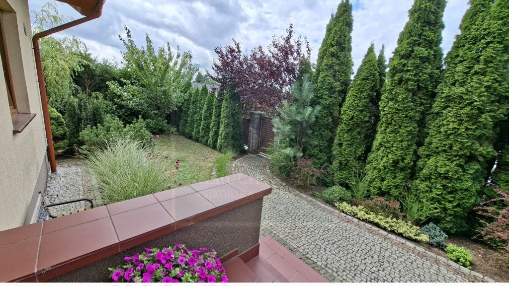 Dom Sprzedaż Oraczewice 19