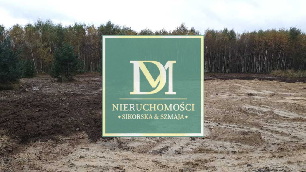 Działka Sprzedaż Borzyszewo