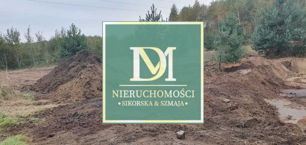 Działka Sprzedaż Borzyszewo