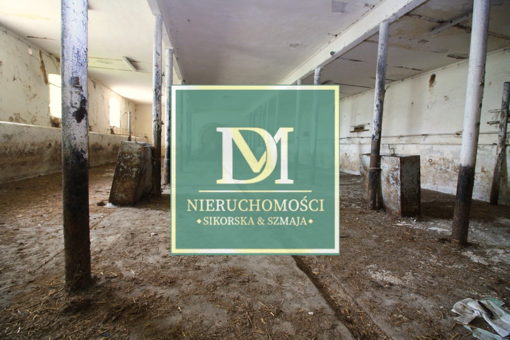 Obiekt Sprzedaż Kurcewo 6
