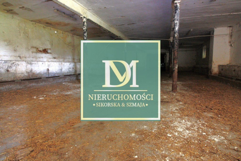 Obiekt Sprzedaż Kurcewo 7