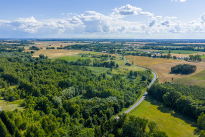 Działka Sprzedaż Grabowo