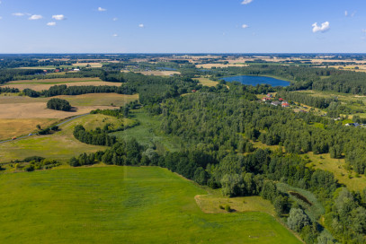 Działka Sprzedaż Grabowo