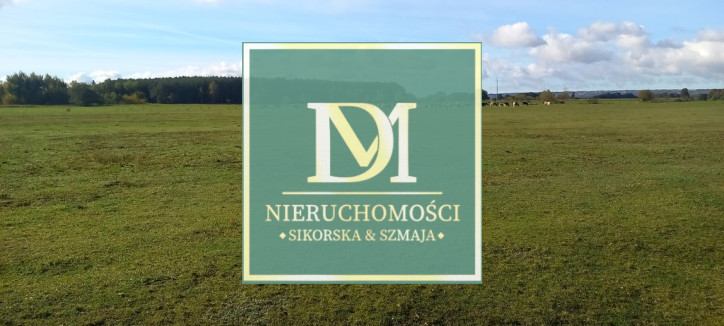 Działka Sprzedaż Borzysławiec 2