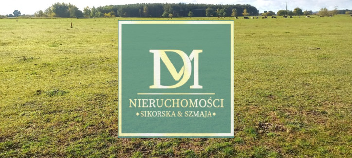 Działka Sprzedaż Borzysławiec 4
