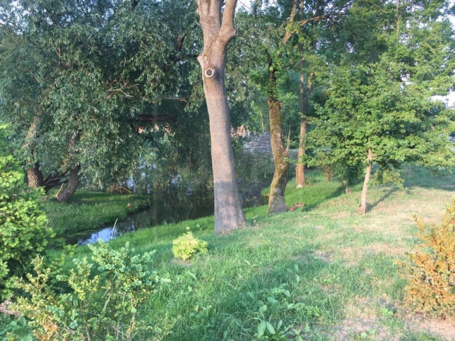 Mieszkanie Wynajem Skarbimierzyce 16