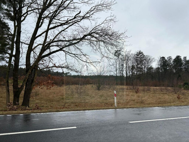Działka Sprzedaż Brzózki 6