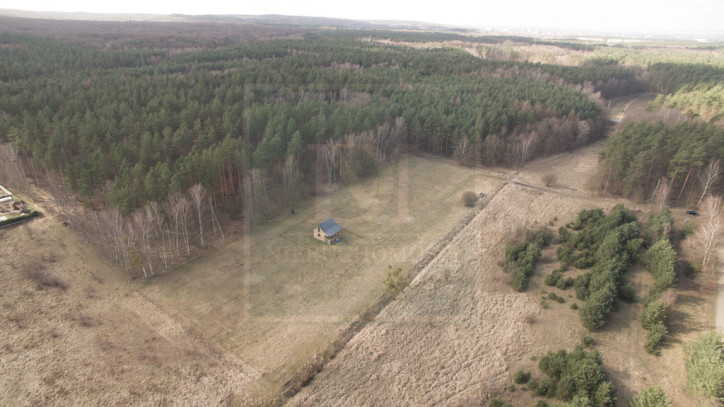 Działka Sprzedaż  Płonia 5