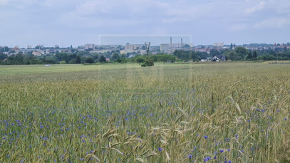 Działka Sprzedaż Stargard