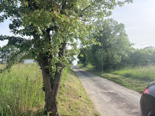 Działka Sprzedaż Przęsocin 2
