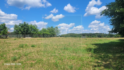 Działka Sprzedaż Wiśniewo