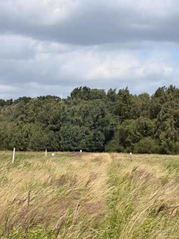 Działka Sprzedaż Niedźwiedź 5