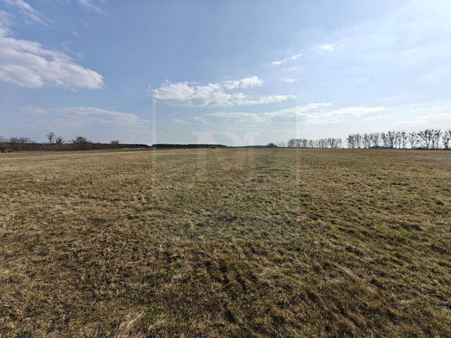 Działka Sprzedaż Stepnica 4