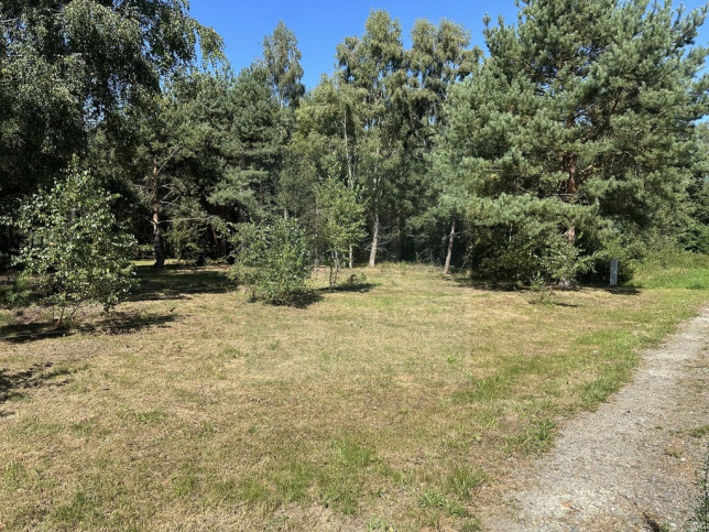 Działka Sprzedaż Ładzin 5