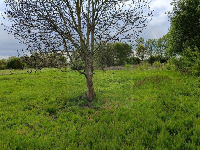 Działka Sprzedaż Rurzyca 3