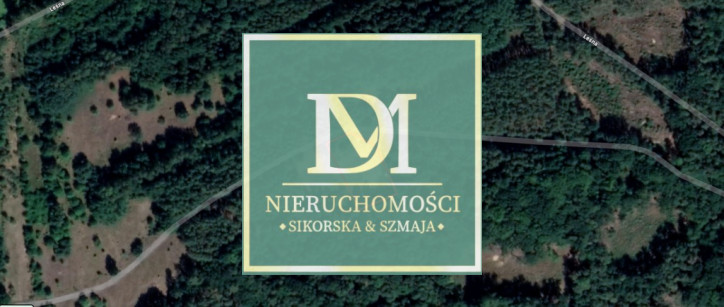 Działka Sprzedaż Trzebież 4