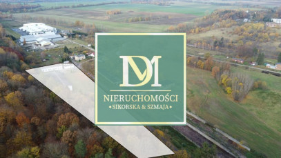 Magazyn Sprzedaż Dziwogóra