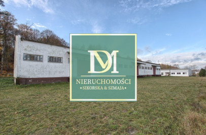 Magazyn Sprzedaż Dziwogóra