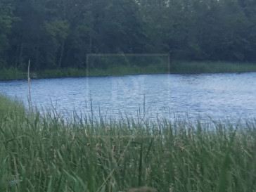 Działka Sprzedaż Zieleniewo